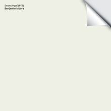 Load image into Gallery viewer, Snow Angel (841): 9"x14.75"