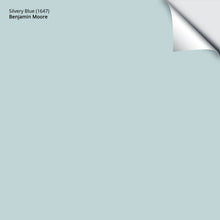 Load image into Gallery viewer, Silvery Blue (1647): 9"x14.75"