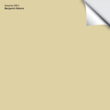 Load image into Gallery viewer, Sesame (381): 9"x14.75"