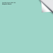 Load image into Gallery viewer, Sea Mist Green (2041-50): 9"x14.75"