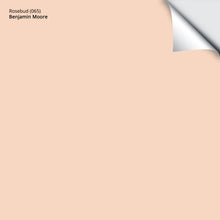 Load image into Gallery viewer, Rosebud (065): 9"x14.75"