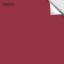 Load image into Gallery viewer, Roseate (2078-10): 9"x14.75"