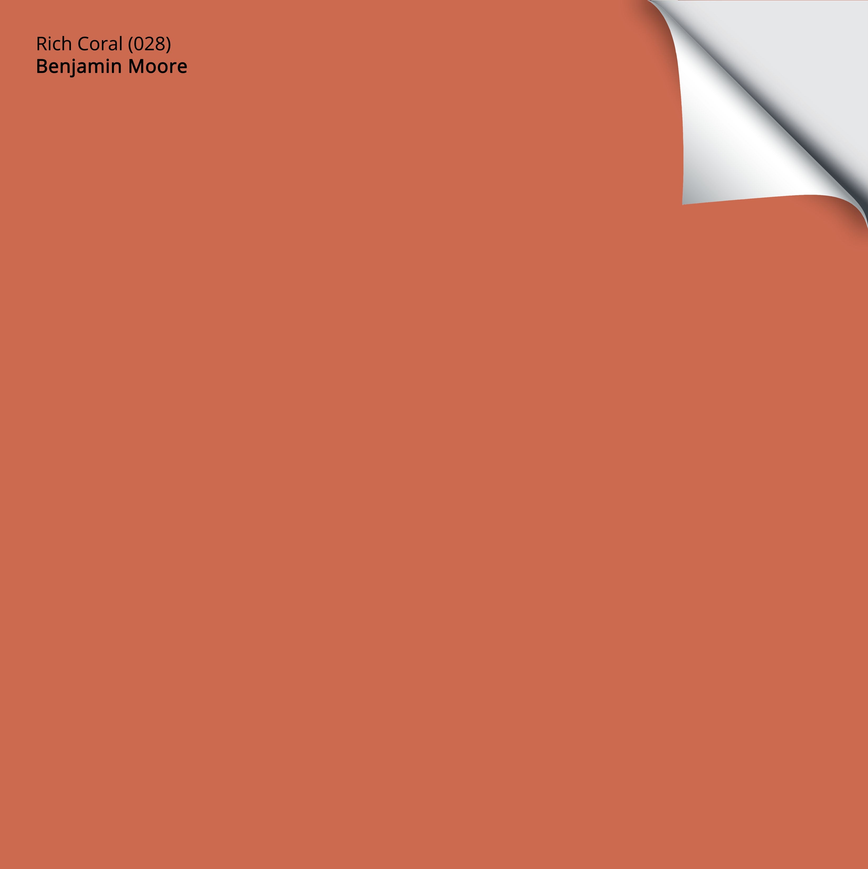 028 Rich Coral