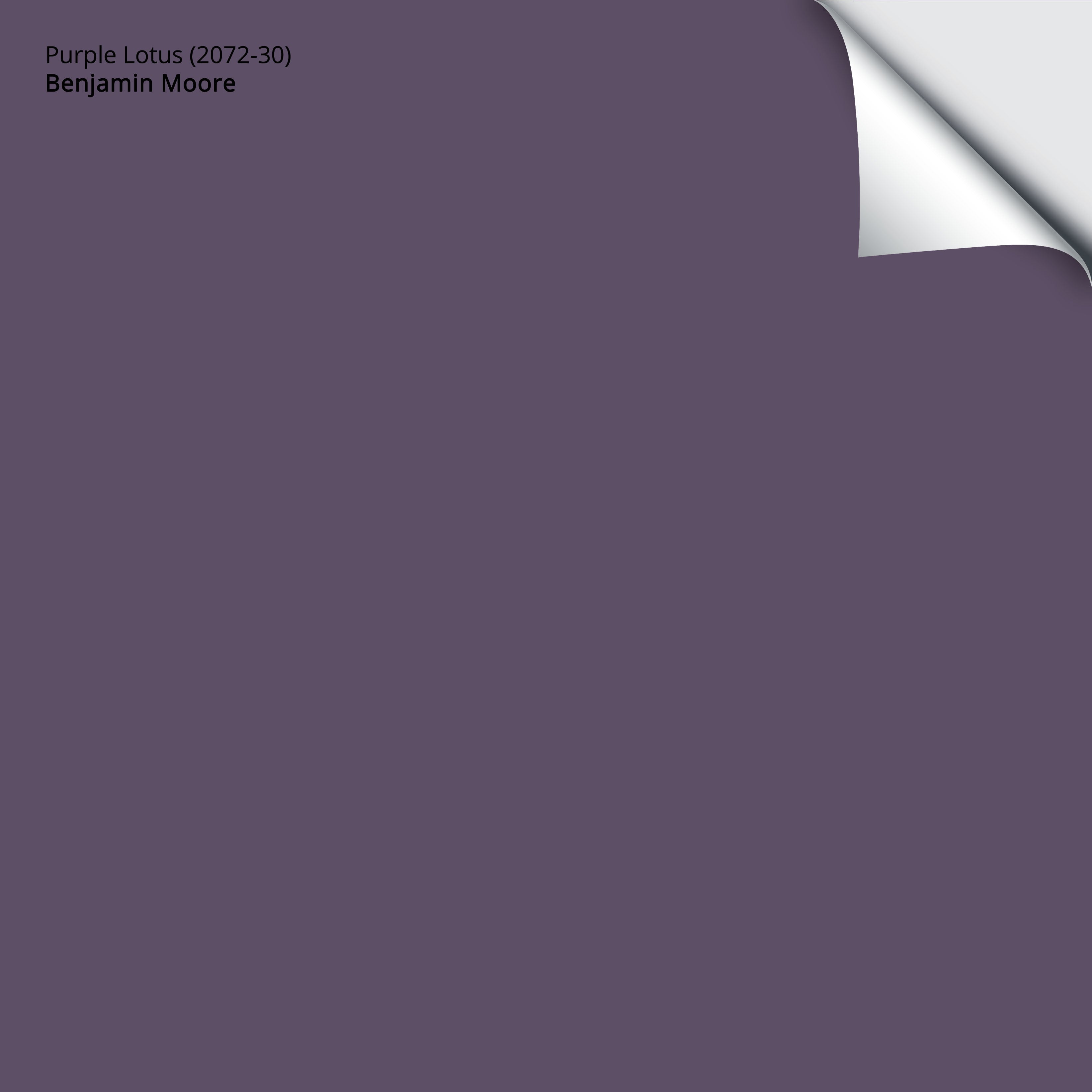 2072-30 Purple Lotus