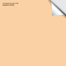 Load image into Gallery viewer, Pineapple Orange (158): 9"x14.75"