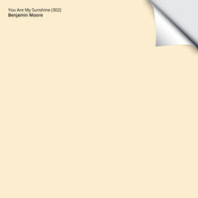 Load image into Gallery viewer, You Are My Sunshine (302): 9"x14.75"