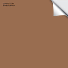 Load image into Gallery viewer, Penny (2163-30): 9"x14.75"
