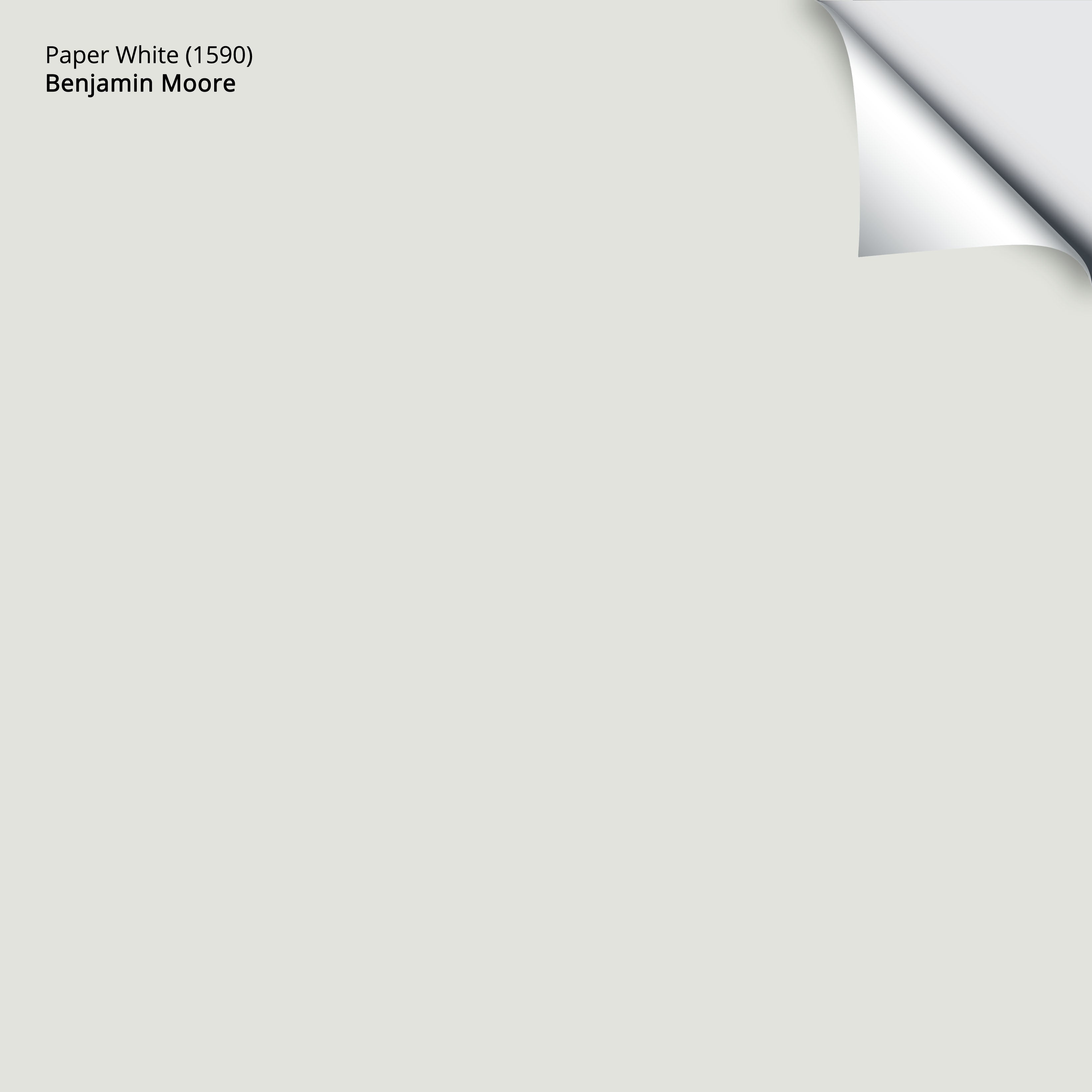 Paper white benjamin clearance moore
