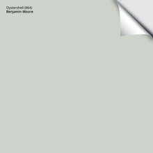 Load image into Gallery viewer, Oystershell (864): 9"x14.75"