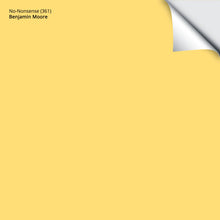 Load image into Gallery viewer, No-Nonsense (361): 9"x14.75"