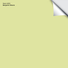 Load image into Gallery viewer, Neon (402): 9"x14.75"