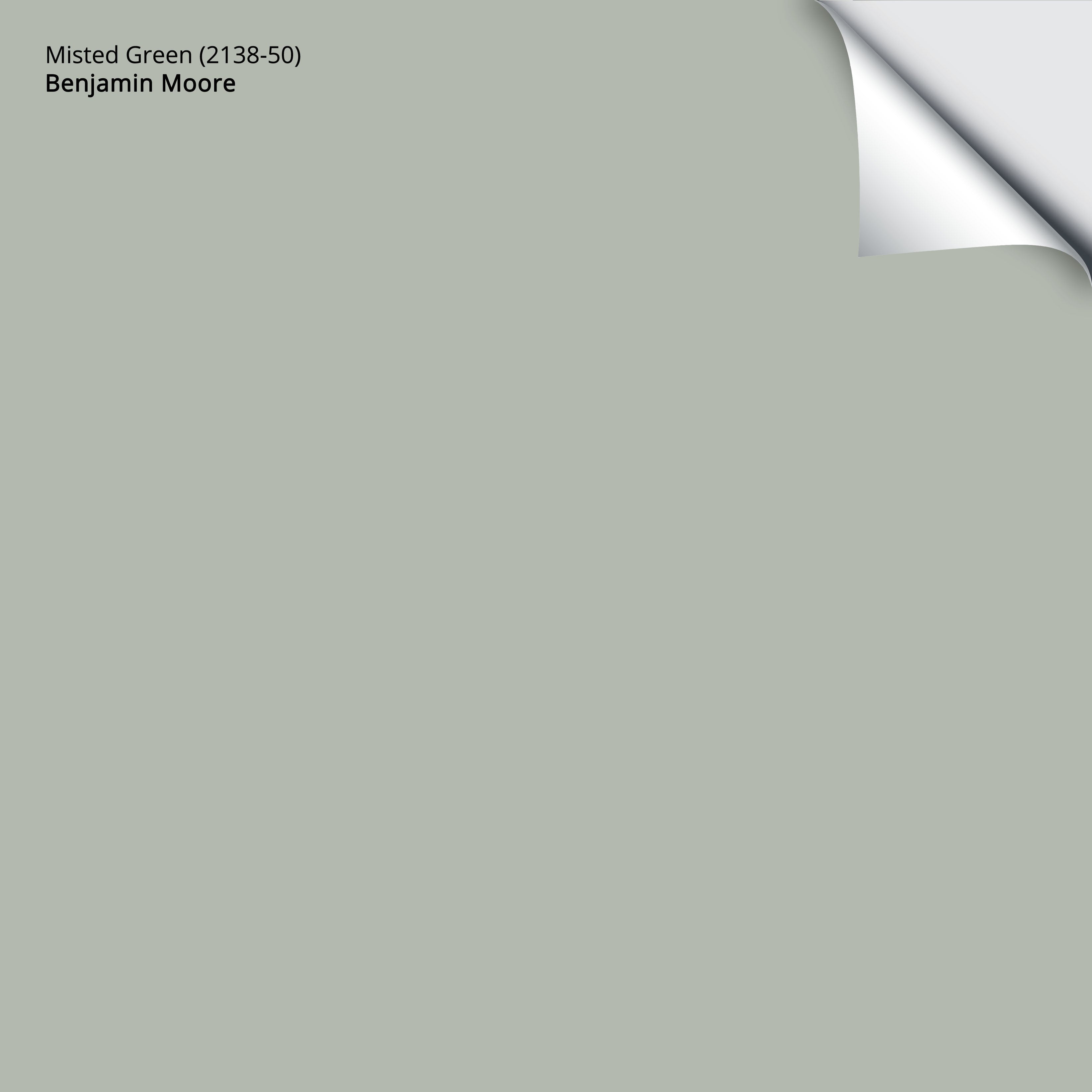 2138-50 Misted Green