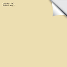 Load image into Gallery viewer, Luminaire (374): 9"x14.75"