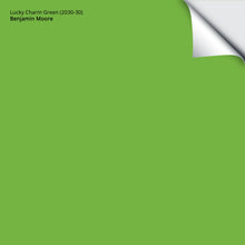 Load image into Gallery viewer, Lucky Charm Green (2030-30): 9"x14.75"