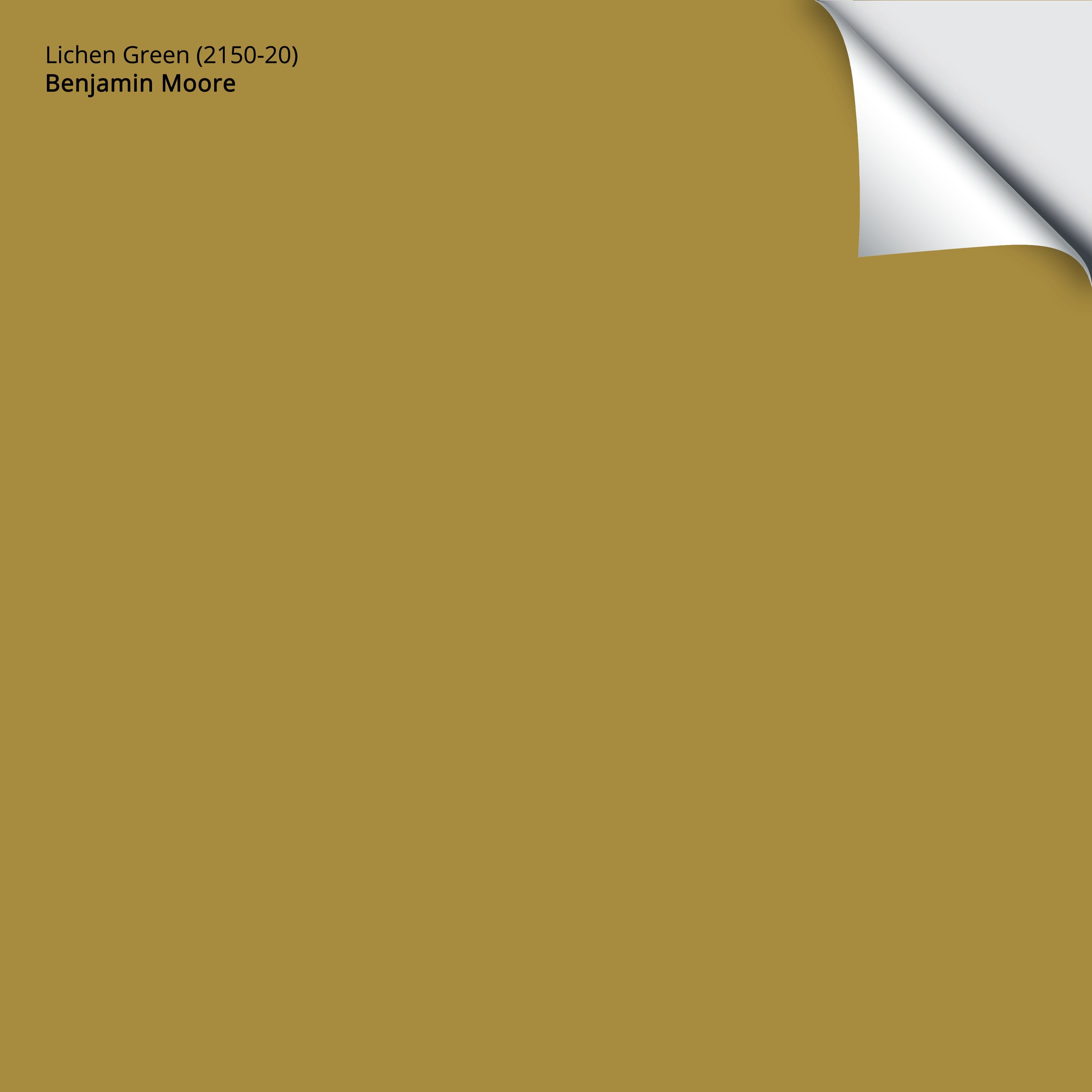 Lichen Green (2150-20): 9x14.75 – Benjamin Moore x Samplize