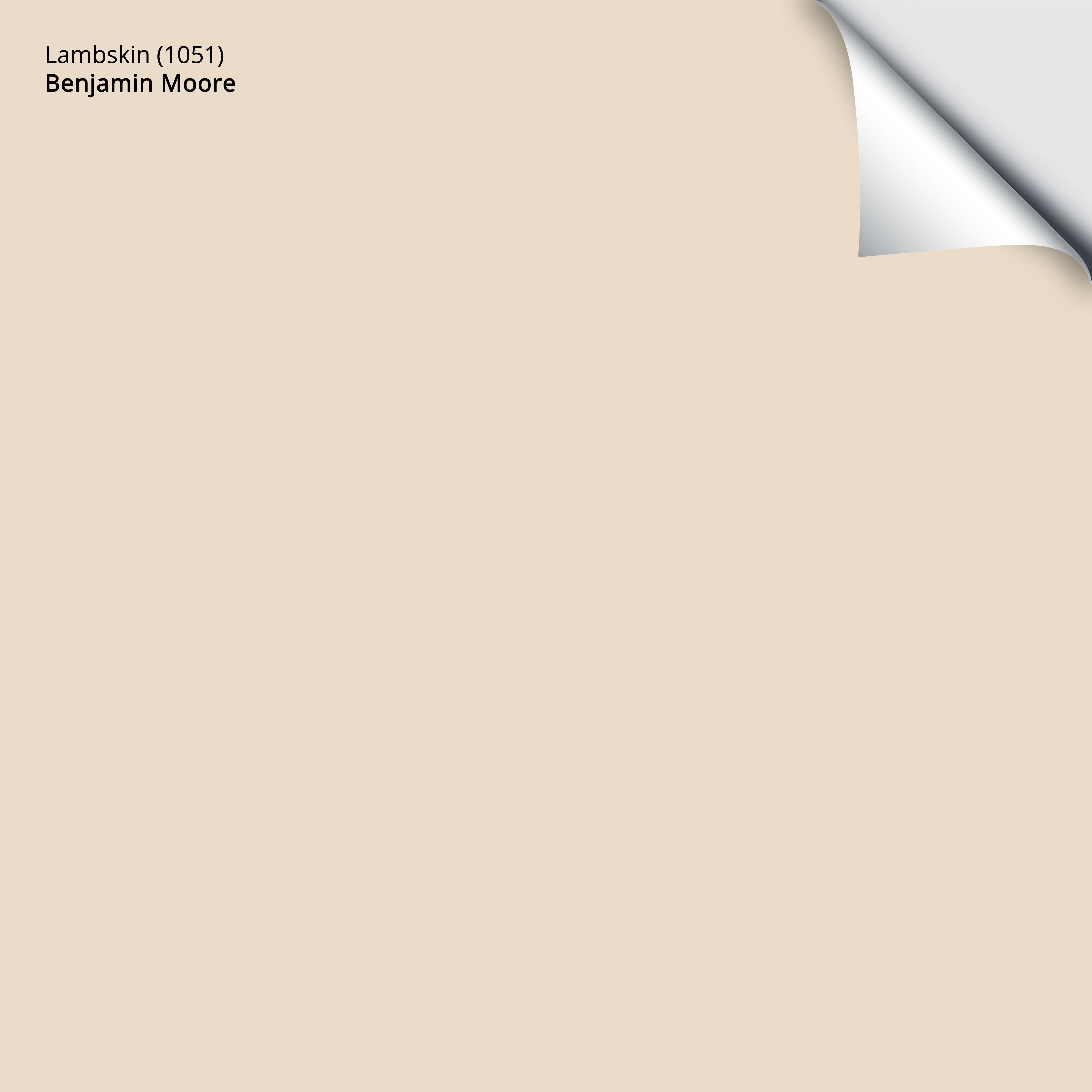 1051 Lambskin