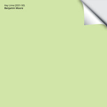 Load image into Gallery viewer, Key Lime (2031-50): 9"x14.75"