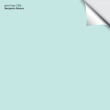 Load image into Gallery viewer, Jack Frost (729): 9"x14.75"