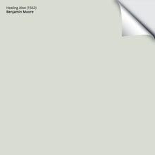 Load image into Gallery viewer, Healing Aloe (1562): 9"x14.75"