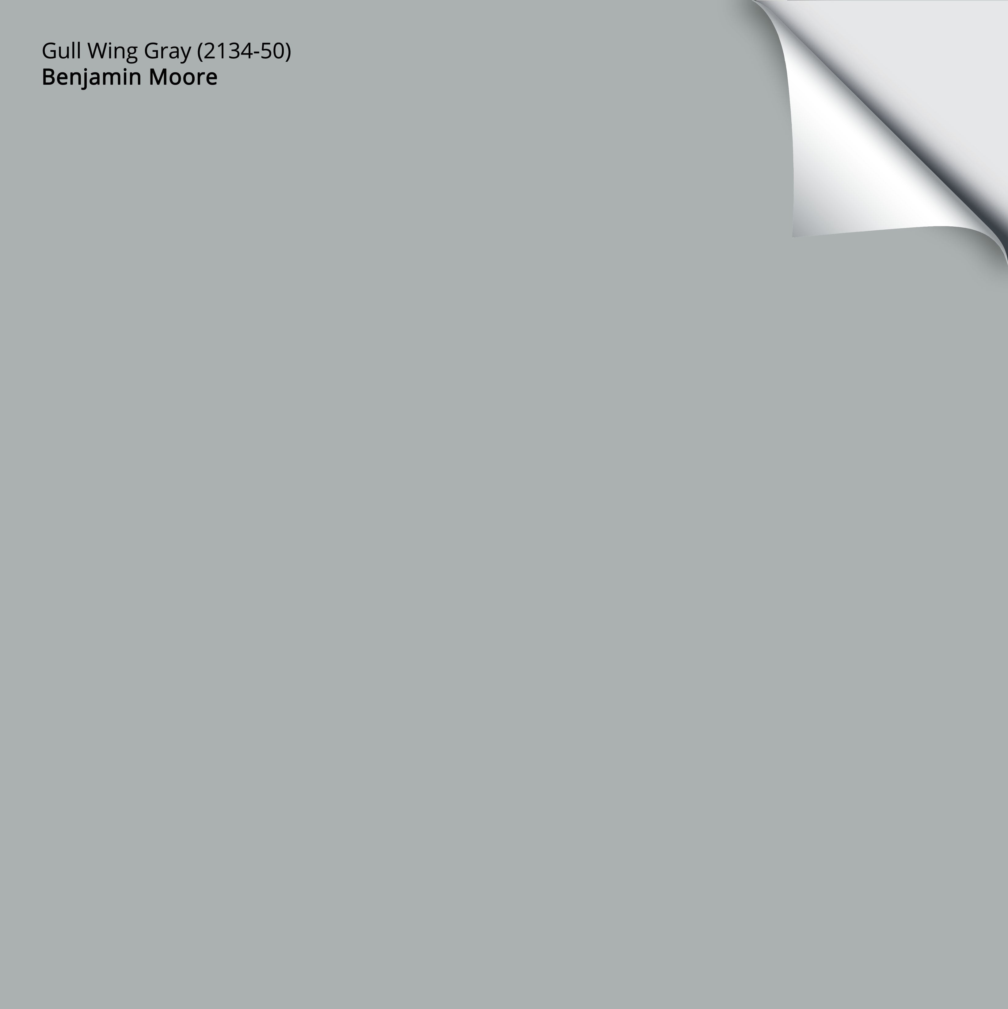 2134-50 Gull Wing Gray