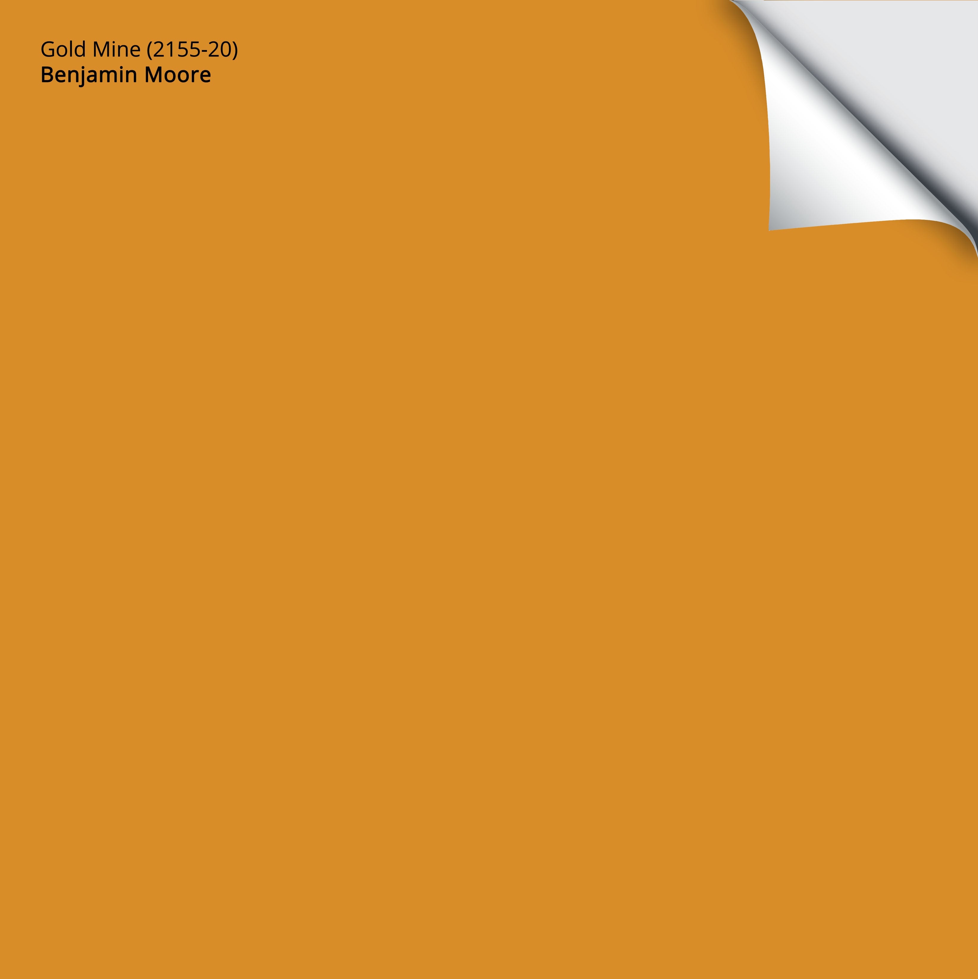2155-20 Gold Mine