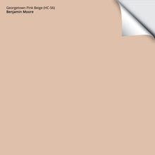 Load image into Gallery viewer, Georgetown Pink Beige (HC-56): 9"x14.75"