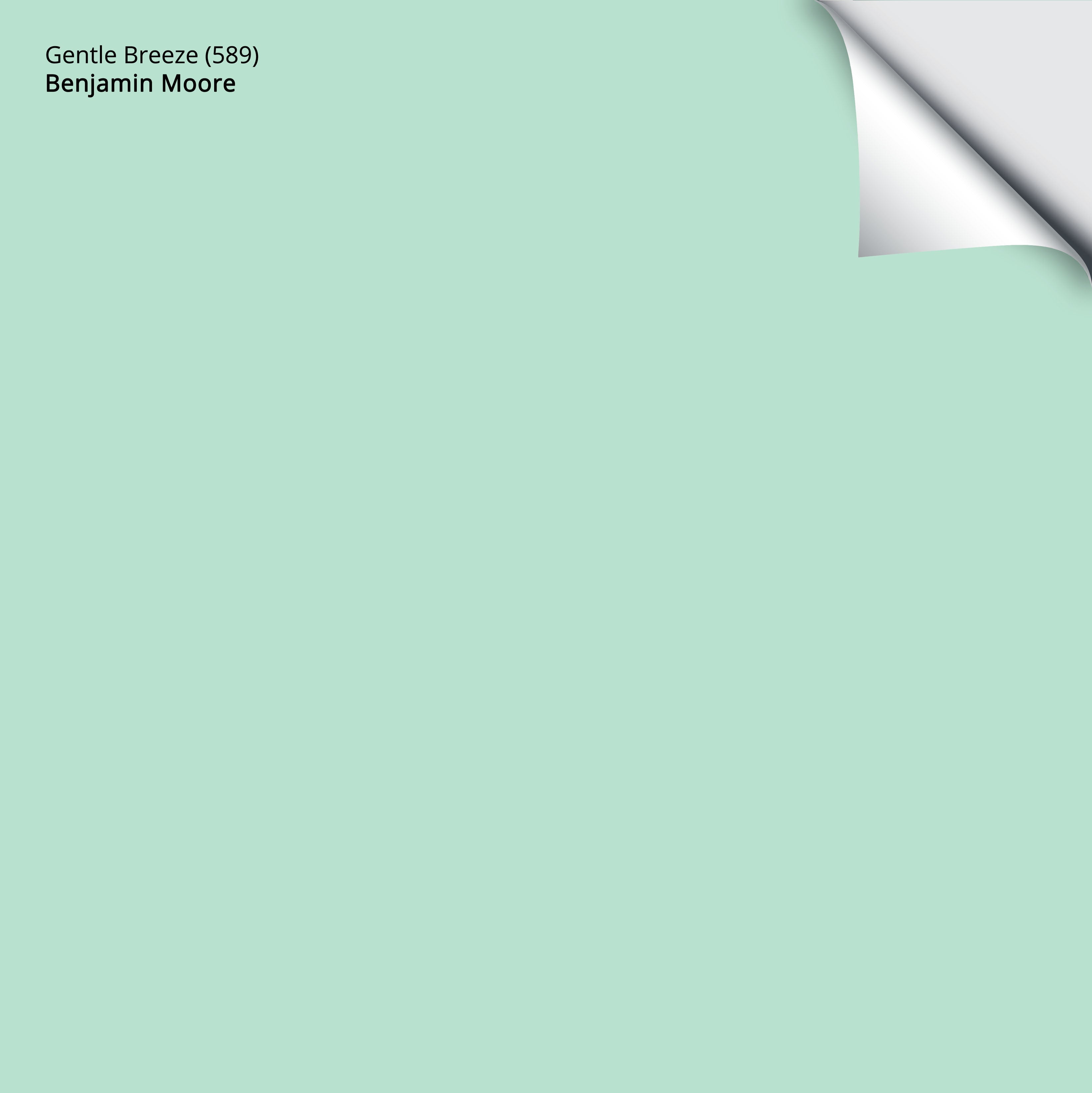 589 Gentle Breeze