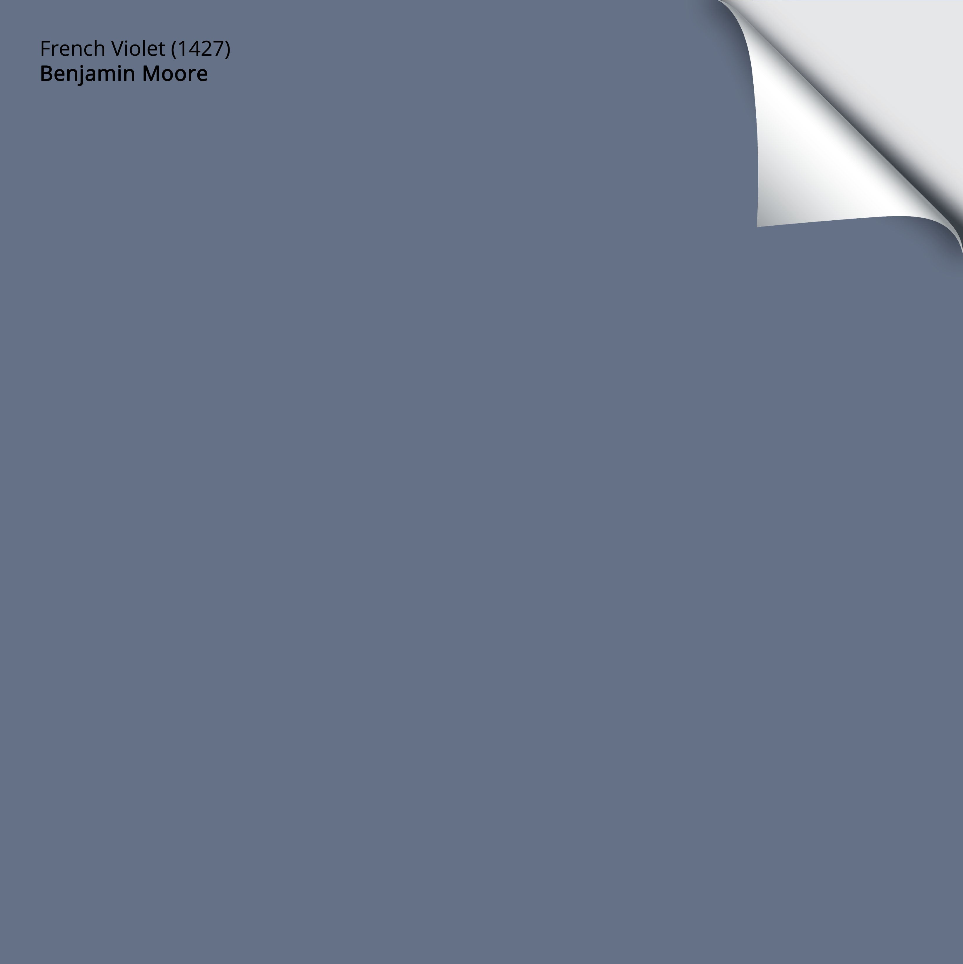1427 French Violet