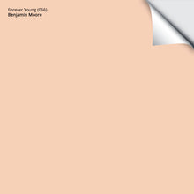 Load image into Gallery viewer, Forever Young (066): 9"x14.75"