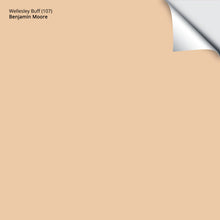 Load image into Gallery viewer, Wellesley Buff (107): 9"x14.75"