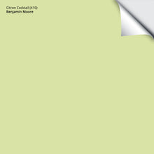 Load image into Gallery viewer, Citron Cocktail (410): 9"x14.75"