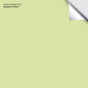 Citron Cocktail (410): 9"x14.75"