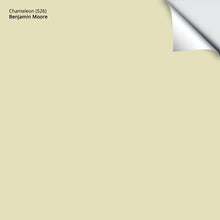 Load image into Gallery viewer, Chameleon (526): 9"x14.75"