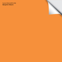 Load image into Gallery viewer, Carrot Stick (2016-30): 9"x14.75"