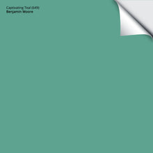 Load image into Gallery viewer, Captivating Teal (649): 9"x14.75"