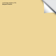 Cambridge Heights (276): 9"x14.75"