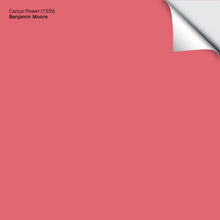 Load image into Gallery viewer, Cactus Flower (1335): 9"x14.75"