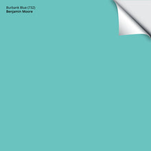 Load image into Gallery viewer, Burbank Blue (732): 9"x14.75"