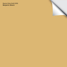 Load image into Gallery viewer, Buena Vista Gold (209): 9"x14.75"