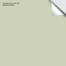 Load image into Gallery viewer, Budding Green (CSP-790): 9"x14.75"