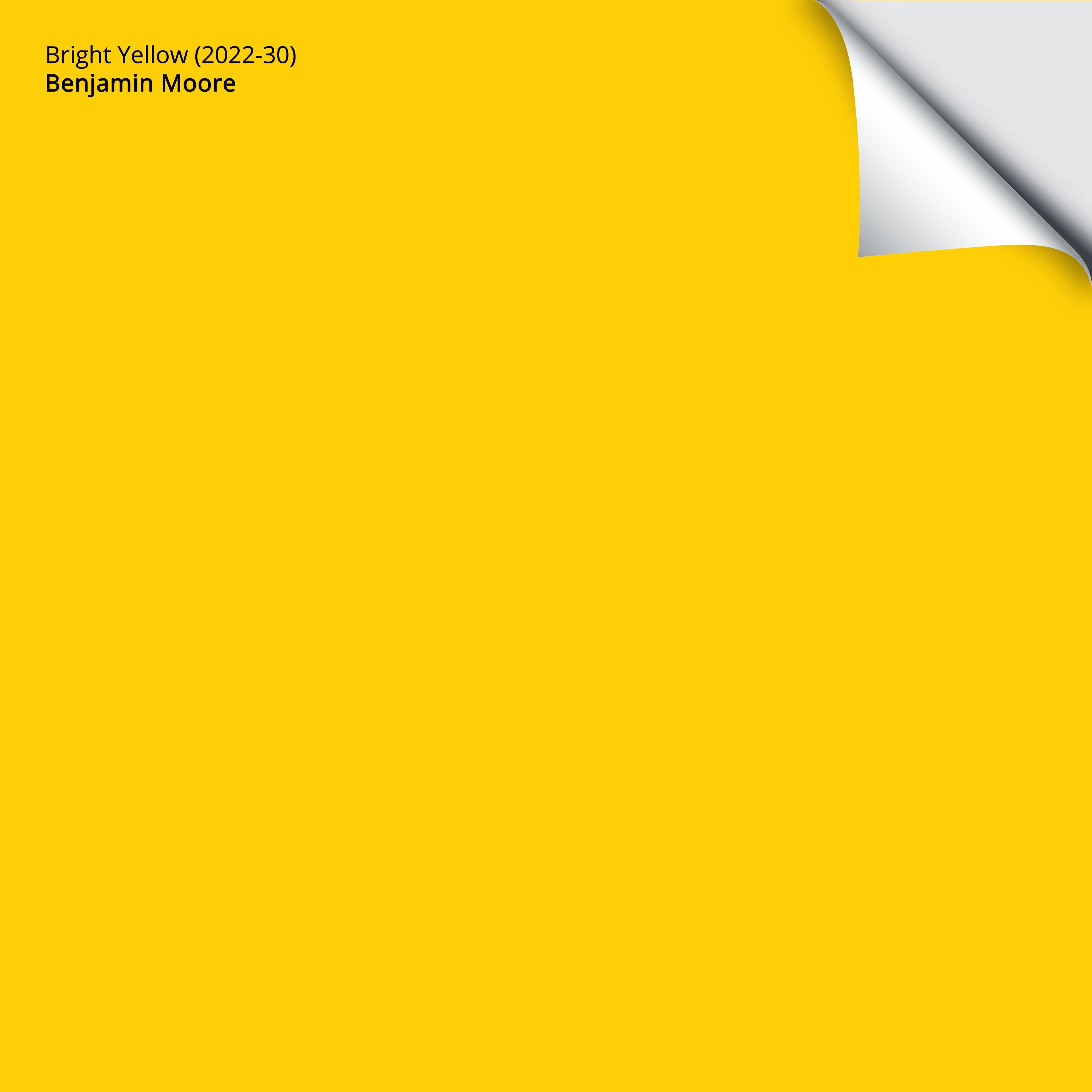 2022-30 Bright Yellow - Paint Color