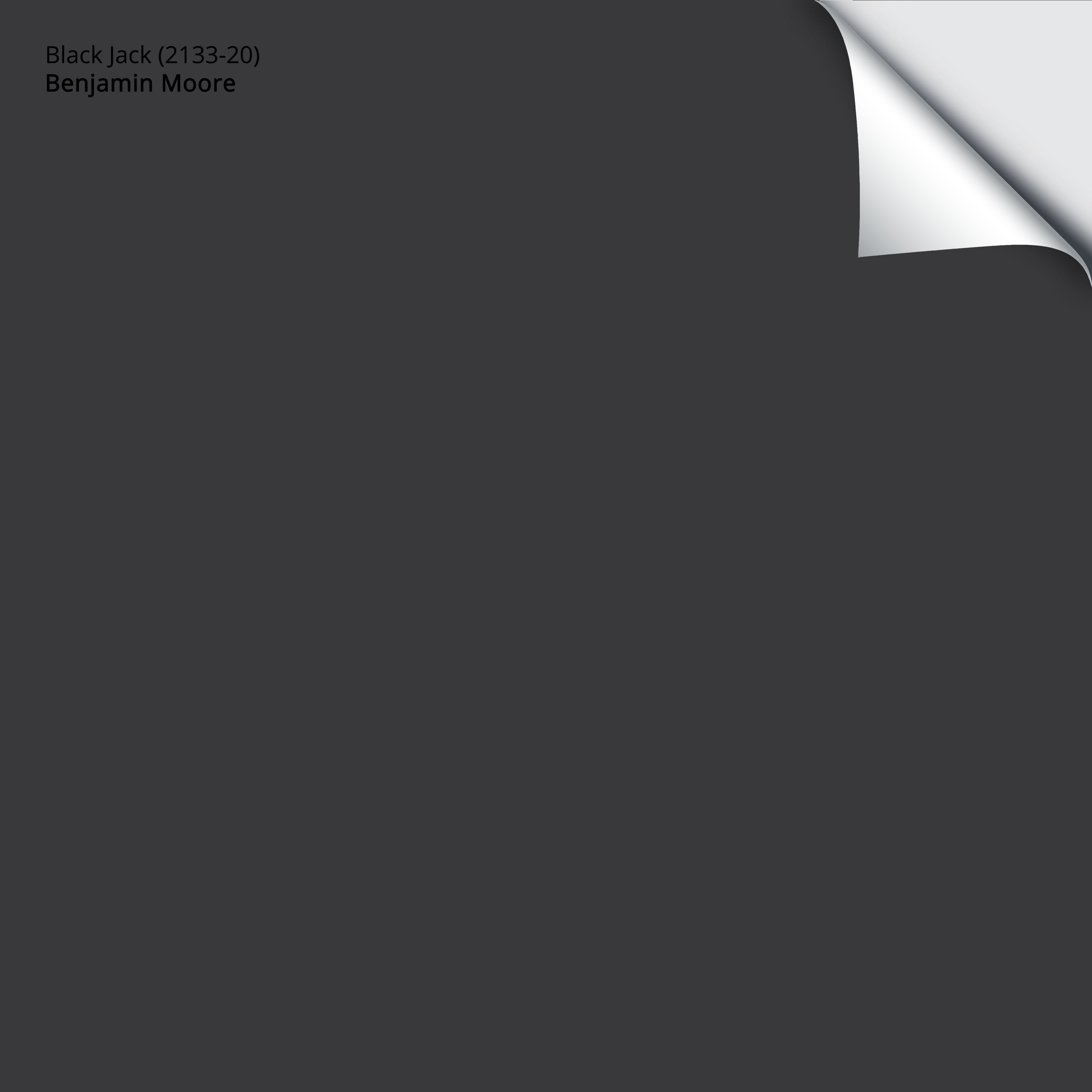 2133-20 Black Jack