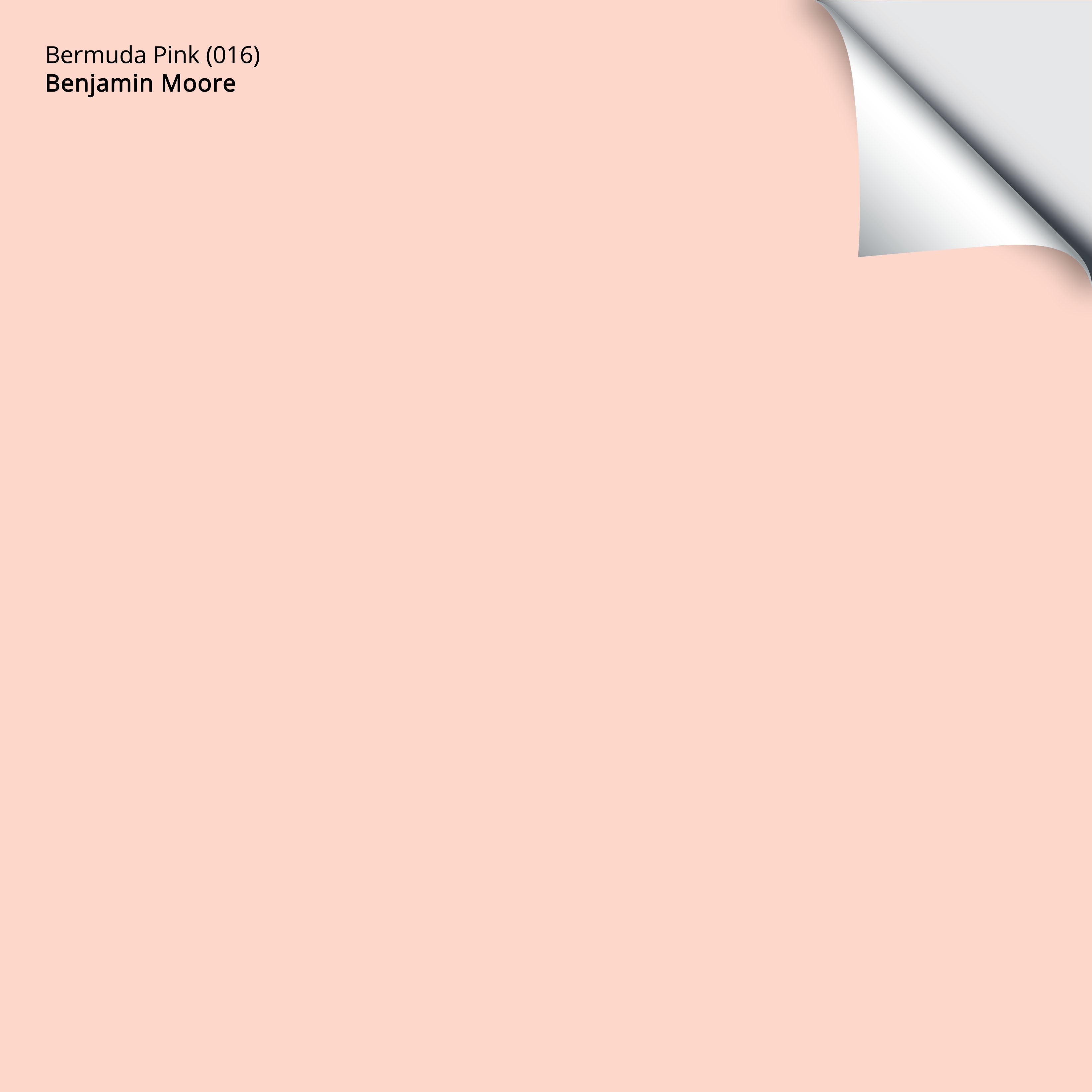 Bermuda Pink (016): 9x14.75 – Benjamin Moore x Samplize