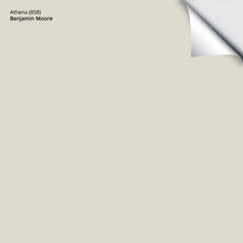 Load image into Gallery viewer, Athena (858): 9"x14.75"