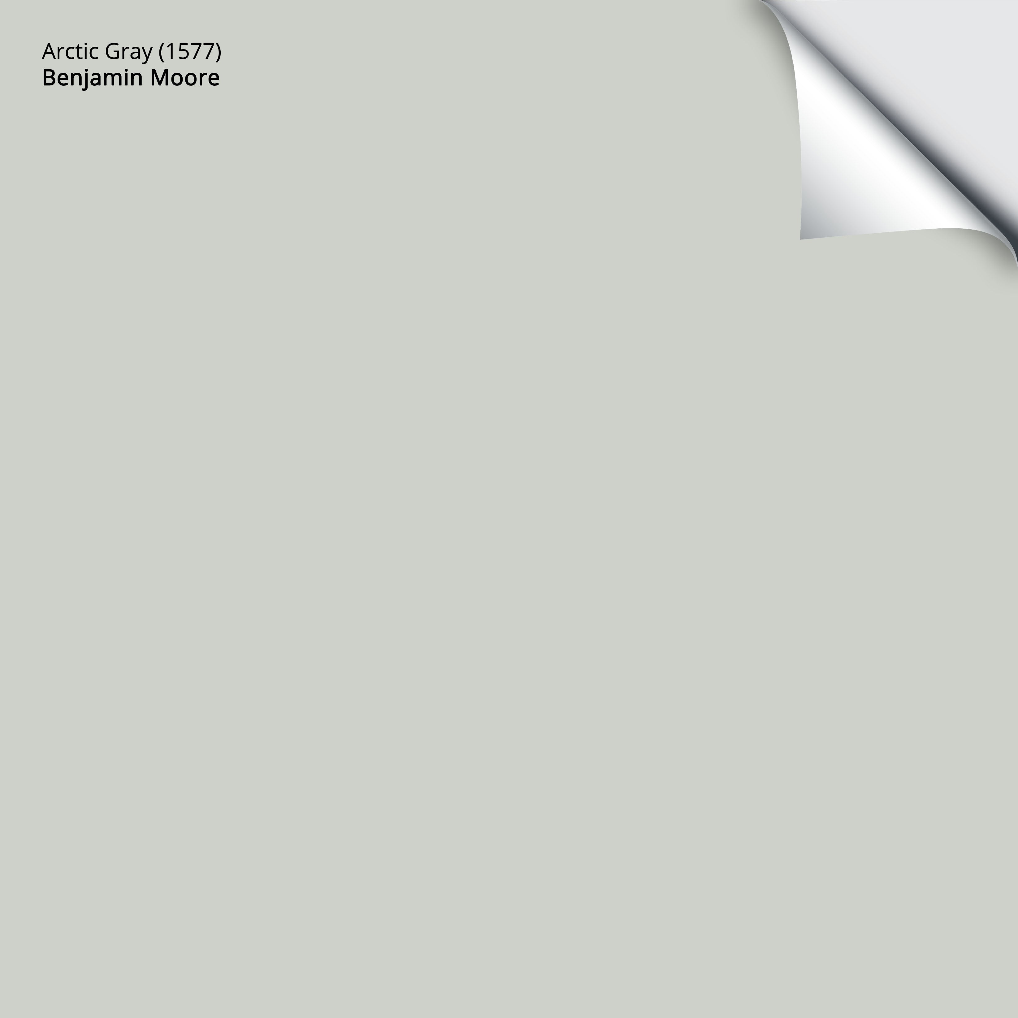 1577 Arctic Gray