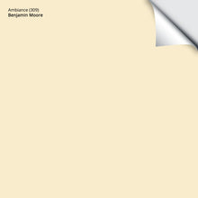 Load image into Gallery viewer, Ambiance (309): 9"x14.75"