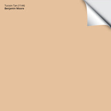 Load image into Gallery viewer, Tucson Tan (1144): 9"x14.75"