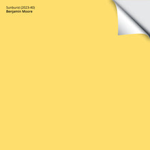 Load image into Gallery viewer, Sunburst (2023-40): 9"x14.75"