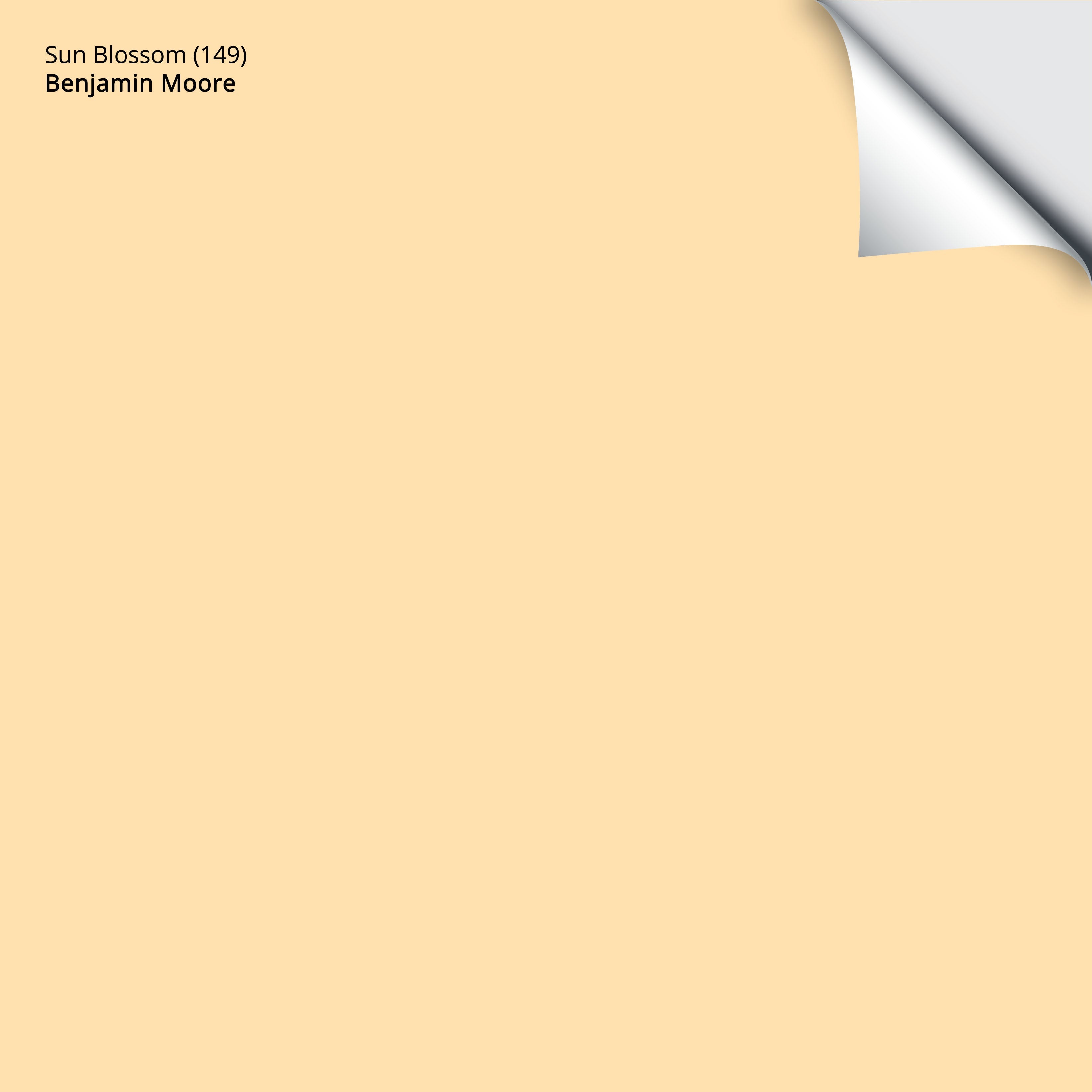 149 Sun Blossom