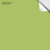 Springhill Green (412): 9"x14.75"